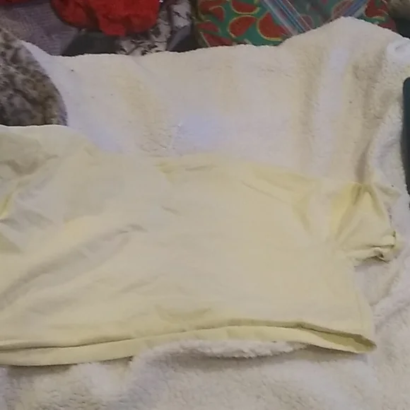 Crop top - Picture 4 of 5